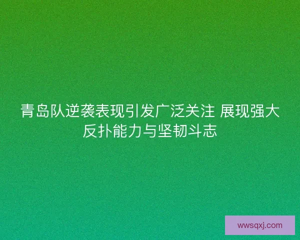 青岛队逆袭表现引发广泛关注 展现强大反扑能力与坚韧斗志