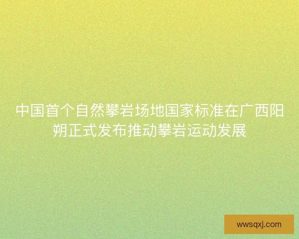 中国首个自然攀岩场地国家标准在广西阳朔正式发布推动攀岩运动发展