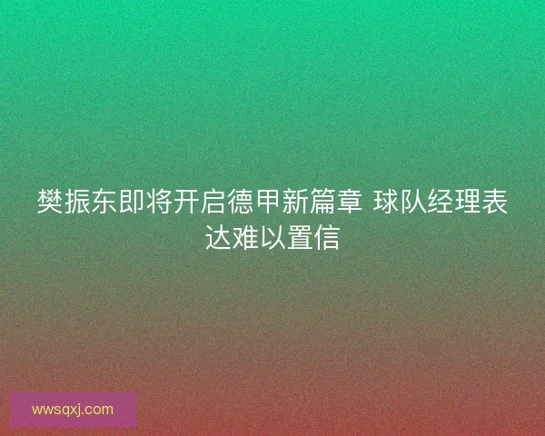 樊振东即将开启德甲新篇章 球队经理表达难以置信